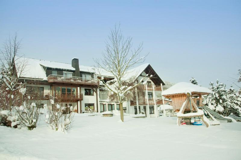 Haus Alexandra Inkl Meinecard Plus Willingen  Exterior foto