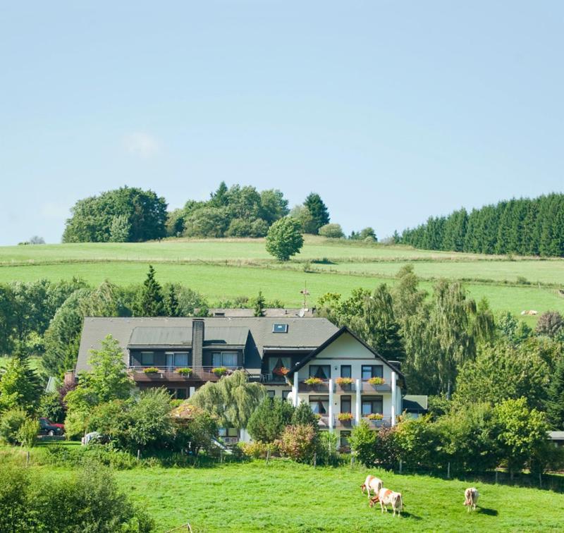 Haus Alexandra Inkl Meinecard Plus Willingen  Exterior foto